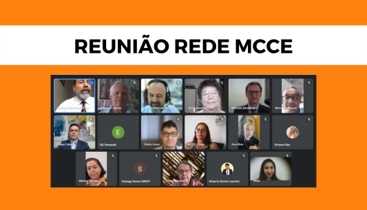 MCCE promove reunião, junto à rede de entidades parceiras, no Dia Internacional da Democracia